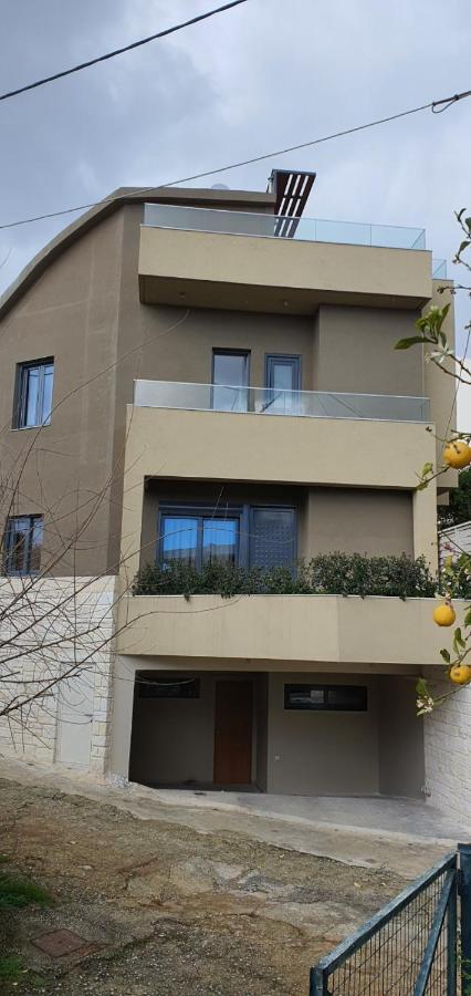 Blueonar Villa Hriszí Aktí Haniá Kültér fotó